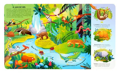 Мир животных. Книжка с окошками - фото 5