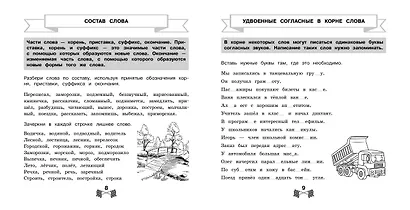 Все правила по русскому языку за 15 минут в день - фото 4