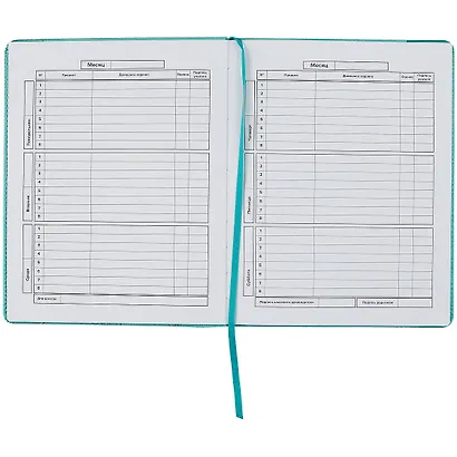 Дневник школьный Феникс+, "Кот" - фото 2