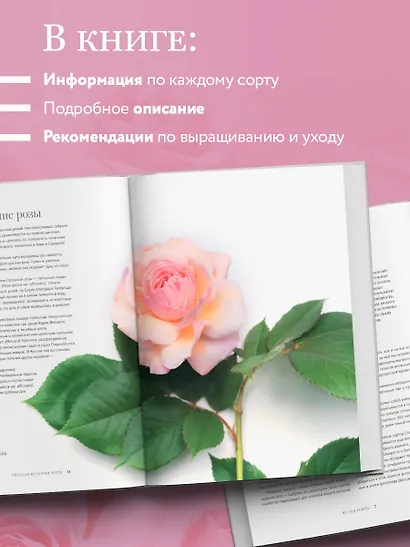 Розы. Восхитительные цветы для дома и сада - фото 5