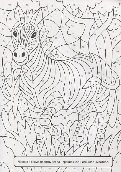 РАСКРАСКА ПО НОМЕРАМ. ВЕСЁЛЫЙ ЗООПАРК - фото 4