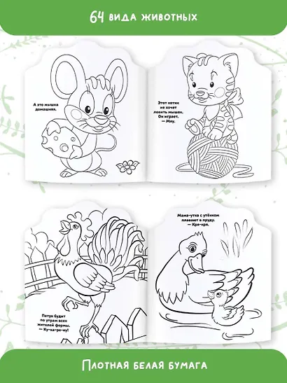 Милые животные - фото 4