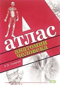 Атлас анатомии человека - фото 1