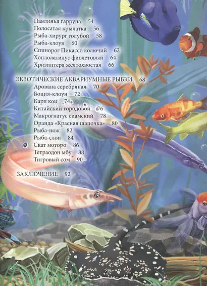 Аквариумные рыбки - фото 3