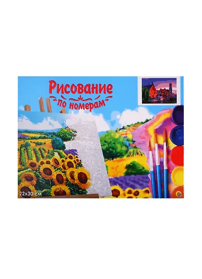 Набор для раскрашивания по номерам ТМ Рыжий Кот Холст с красками 22х30см Европейская улица в сумерках (Арт. HS242) - фото 2