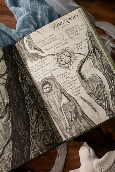 Птицы леса. Артбук - фото 13