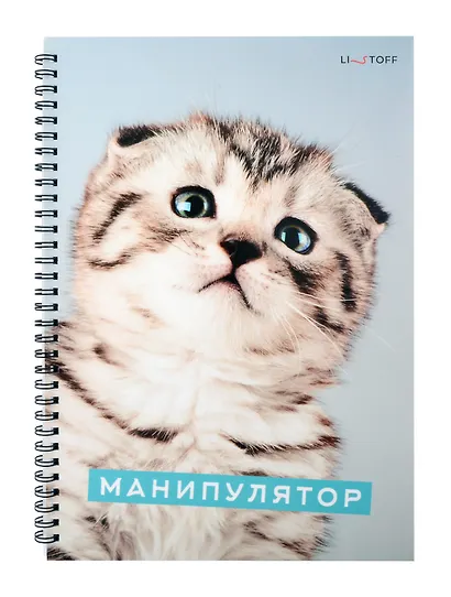 Тетрадь в клетку Listoff, "Характер котика", А4, 80 листов - фото 1