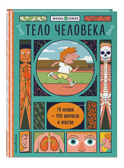 Тело человека (с окошками) - фото 3