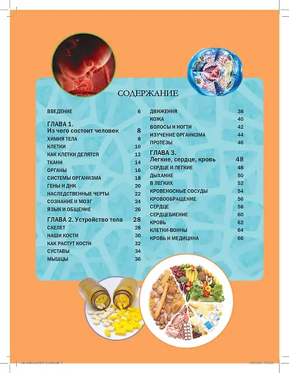 Тело человека - фото 10