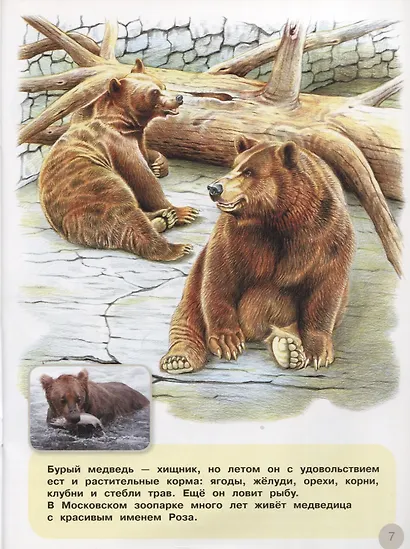 Животный мир России. Наклейки. Интересные факты. Карта зоопарка - фото 4