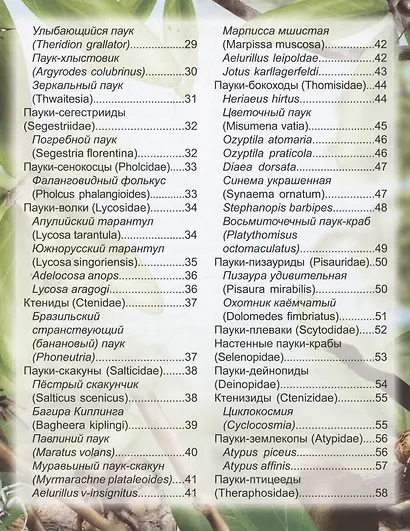 Пауки: энциклопедия - фото 3