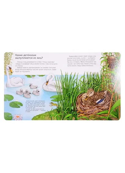 Мамы и малыши (с волшебными окошками) - фото 7