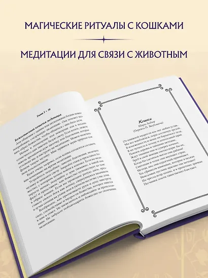 Магия кошек. Ритуалы, заклинания и чары для котиков и их людей - фото 6