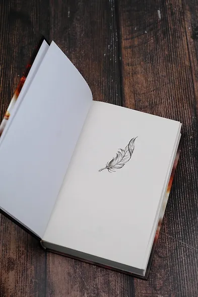 Город опаленных крыльев - фото 7