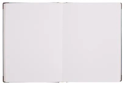 Книга для записей "Ван Гог. Ветка миндаля" А5, 82 листа, нелинованная, твердая обложка, 180г/м2 - фото 6