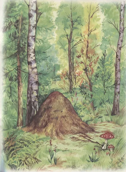 Кот и лиса - фото 5