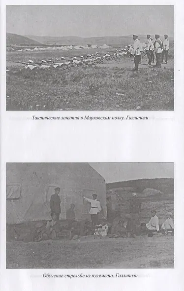 Изгнанная армия. Полвека военной эмиграции - фото 4