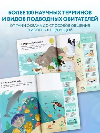 Подводный мир - фото 4