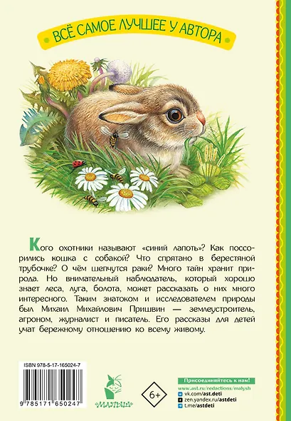 Рассказы - фото 2