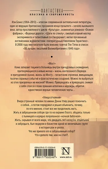 Мост. Улица отчаяния - фото 2