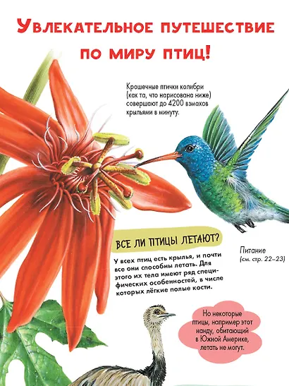 Птицы - фото 6