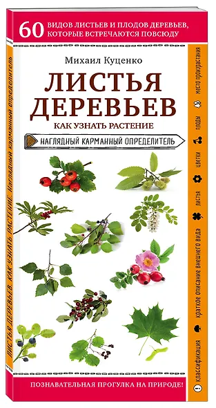Листья деревьев. Как узнать растение. Наглядный карманный определитель - фото 3