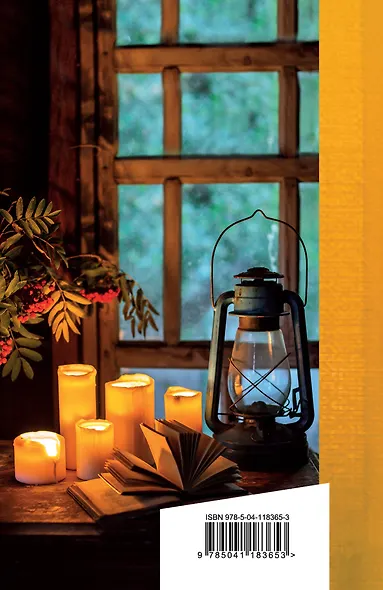 Свет в твоем окне - фото 2