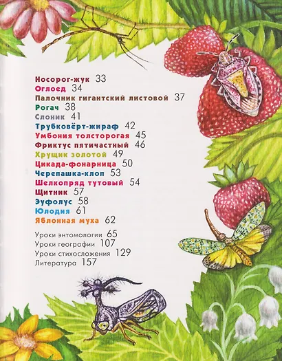 Азбука диковинных насекомых: Для взрослых и детей - фото 4