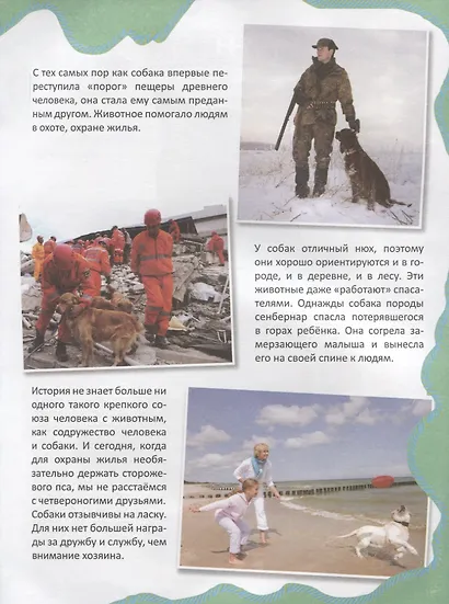 Питомцы - фото 3