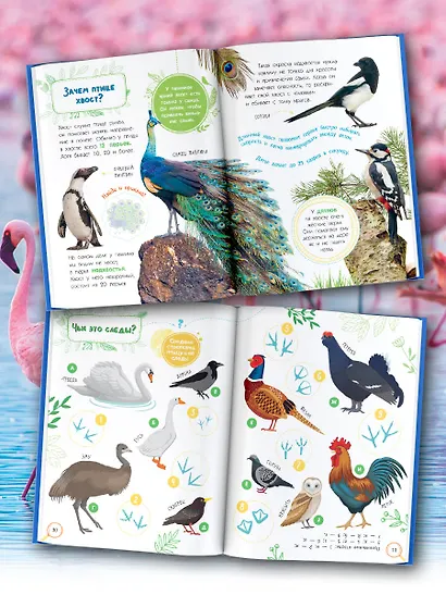 Птицы - фото 5