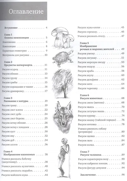 Простые уроки рисования для начинающих - фото 3