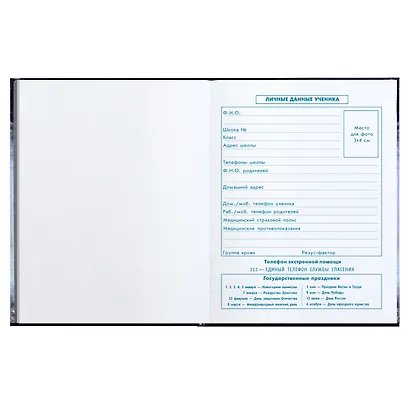 Дневник для младших классов Феникс+, "Кот" - фото 4