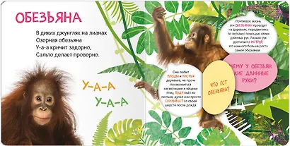 Книжки с окошками. Кто где живет? - фото 4