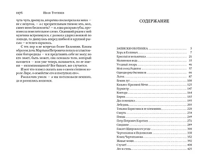 Отцы и дети. Рудин. Записки охотника. Повести - фото 2