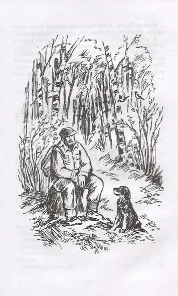 Белый Бим Черное Ухо : повесть - фото 4