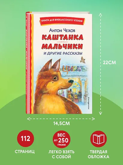 Каштанка. Мальчики и другие рассказы (ил. М. Белоусовой, Д. Кардовского) - фото 7
