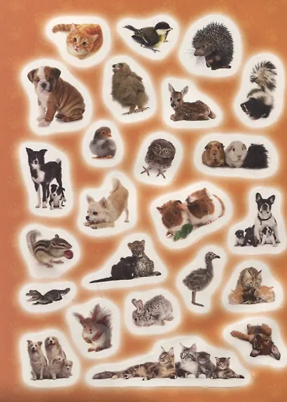 Мамы и малыши - фото 4