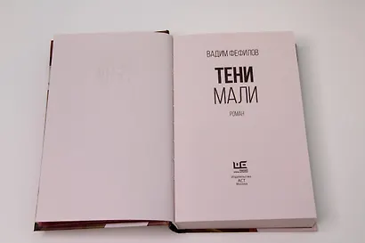 Тени Мали - фото 7