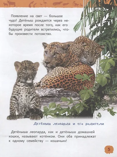 Детеныши животных - фото 6