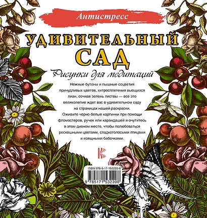 Удивительный сад. Рисунки для медитаций - фото 2