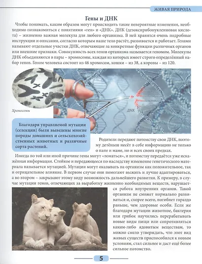 Живая природа - фото 6