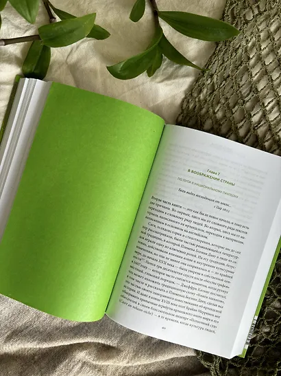 Ирландские мифы. От Племен Богини Дану и Кром Круаха до «кельтских сумерек» и Самайна - фото 10