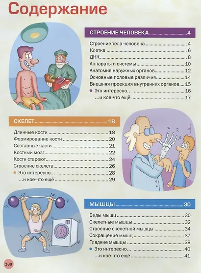 Большая иллюстрированная энциклопедия. Все о теле человека - фото 2