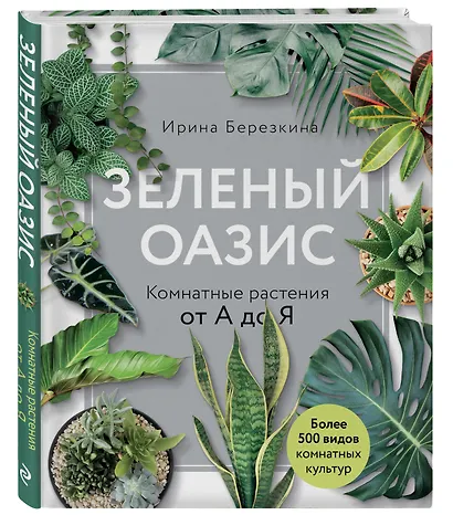 Зеленый оазис. Комнатные растения от А до Я - фото 3