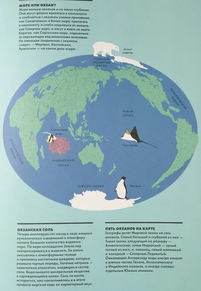 Океан - фото 5