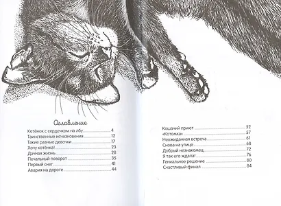 Долгая дорога домой - фото 12