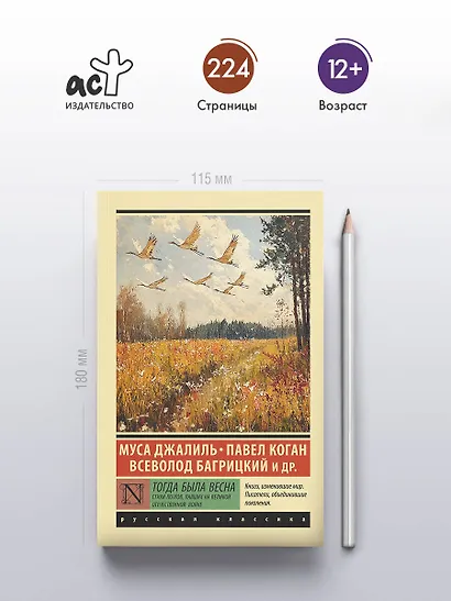 Тогда была весна. Стихи поэтов, павших на Великой Отечественной войне - фото 4