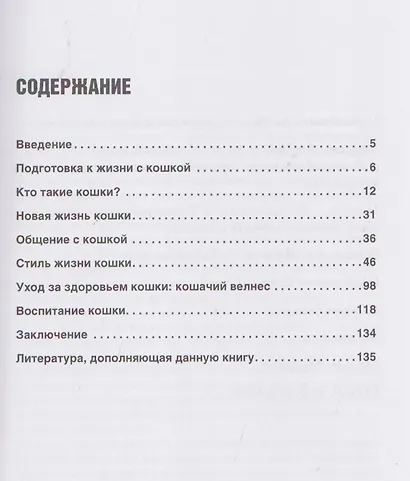 Кошка входит в дом. Содержание кошки в условиях квартиры - фото 7