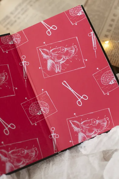 Собачье сердце. Вечные истории - фото 10