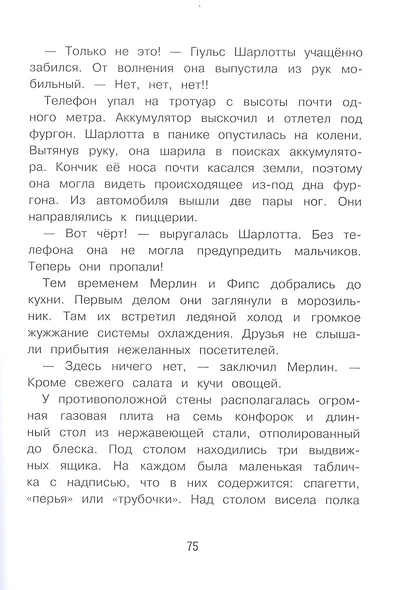 Детективное агенство "Черная лапа". Футбольный скандал. Книга 4 - фото 5